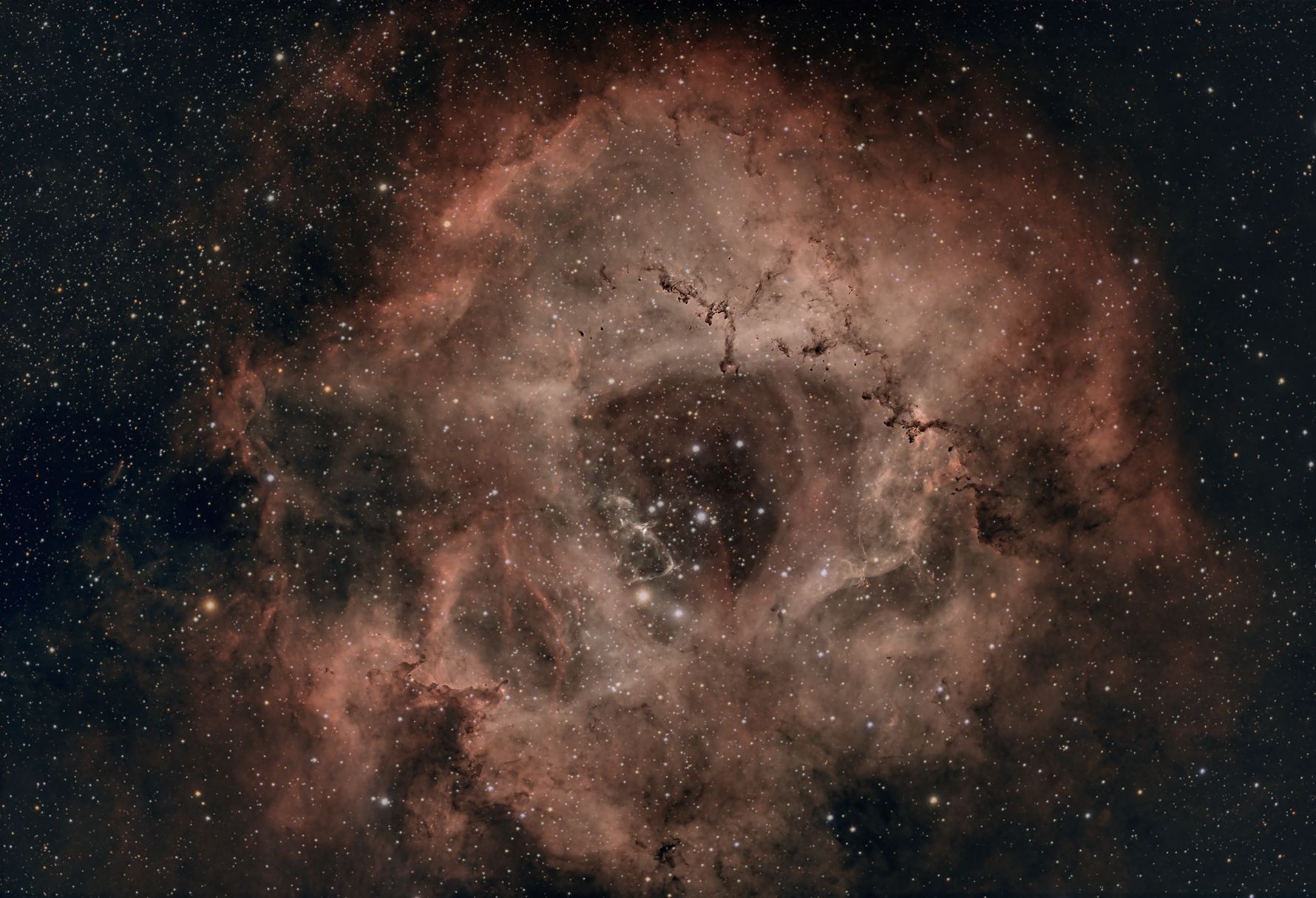 NGC 2239 – The Rosette Nebula